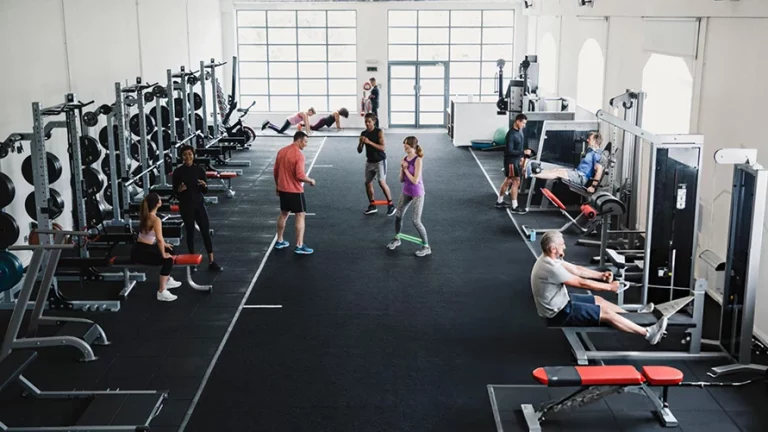 Members training inside a modern commercial gym with weight racks, machines and benches