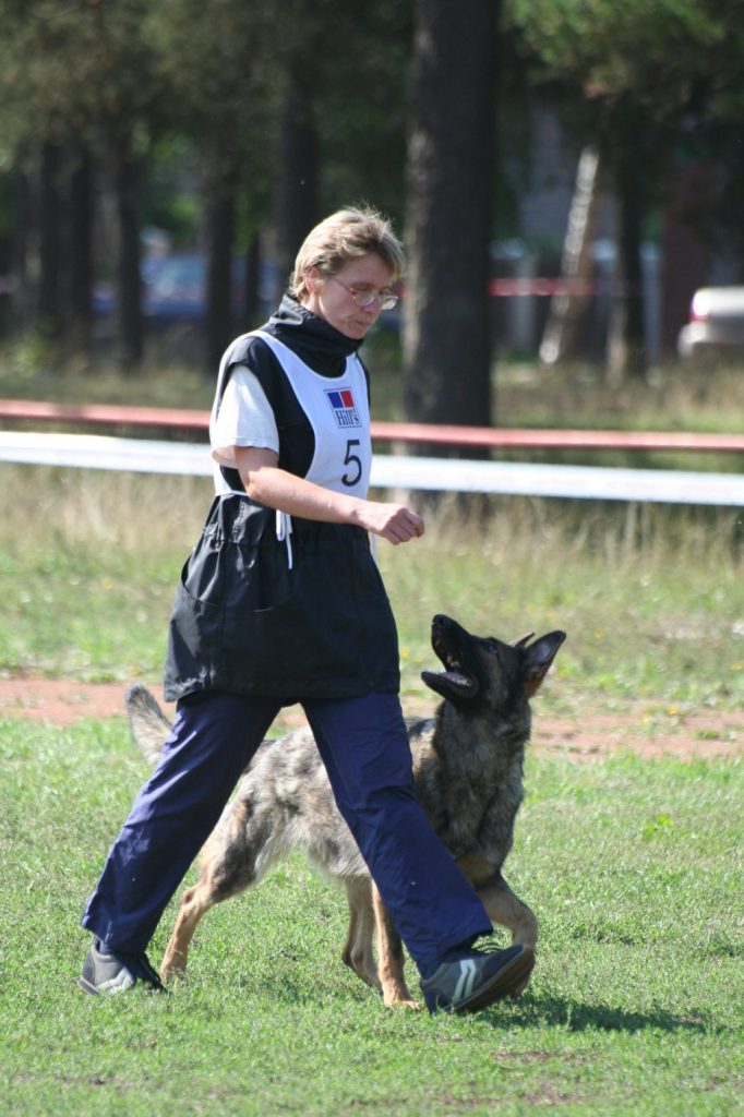 A dog trainer doing obedience heeling work with a German Shepherd outdoors